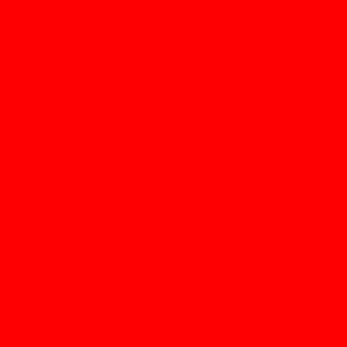 Red. The Catalan for "red" is "roig".