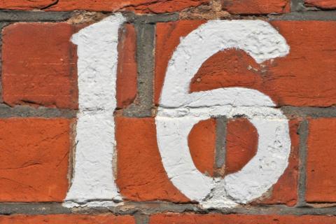 16 (sixteen). The Dutch for "16 (sixteen)" is "zestien".