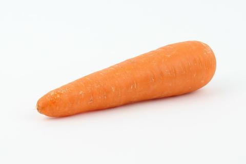 Carrot. The Dutch for "carrot" is "wortel". Carrot. The Dutch for "carrot" is "wortel".