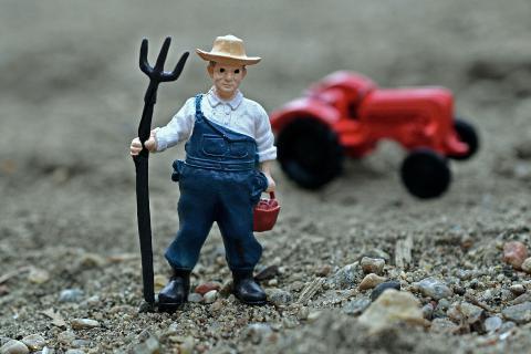 The farmer. The Dutch for "the farmer" is "de boer".