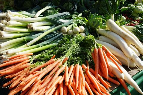 The vegetable. The Dutch for "the vegetable" is "de groente".