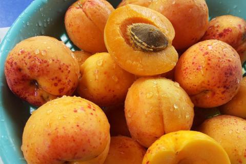 Apricot. The Dutch for "apricot" is "abrikoos".
