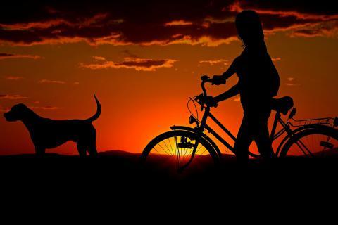 Evening. The Dutch for "evening" is "avond". Evening. The Dutch for "evening" is "avond".