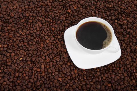 Coffee. The Dutch for "coffee" is "koffie".
