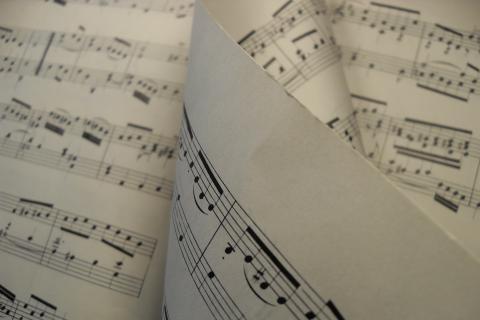 The music. The Dutch for "the music" is "de muziek".