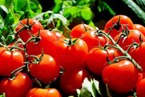 Tomatoes. The Dutch for "tomatoes" is "tomaten".