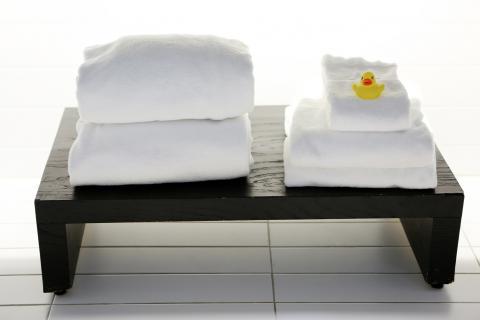 The towel. The Dutch for "the towel" is "de handdoek". The towel. The Dutch for "the towel" is "de handdoek".