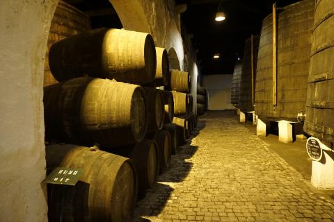 The basement. The Dutch for "the basement" is "de kelder". The basement. The Dutch for "the basement" is "de kelder".