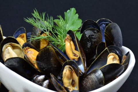 Mussel. The Dutch for "mussel" is "mossel". Mussel. The Dutch for "mussel" is "mossel".