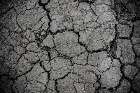 Ground. The Dutch for "ground" is "grond".