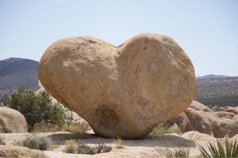 Rock. The Dutch for "rock" is "rots". Rock. The Dutch for "rock" is "rots".