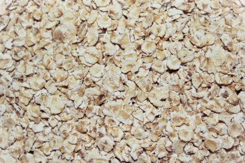 Oatmeal. The Dutch for "oatmeal" is "havermout". Oatmeal. The Dutch for "oatmeal" is "havermout".
