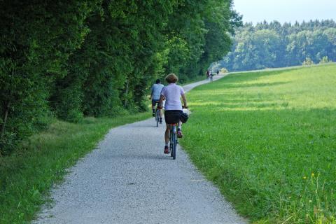 Cycle paths. The Dutch for "cycle paths" is "fietspaden".