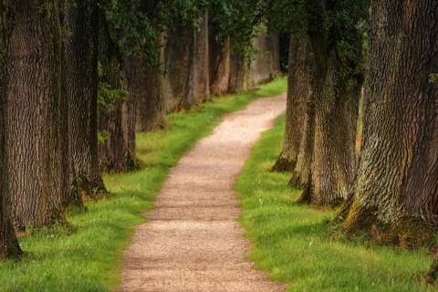 Paths. The Dutch for "paths" is "paden". Paths. The Dutch for "paths" is "paden".