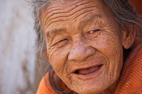 The grandmother. The Dutch for "the grandmother" is "de grootmoeder". The grandmother. The Dutch for "the grandmother" is "de grootmoeder".