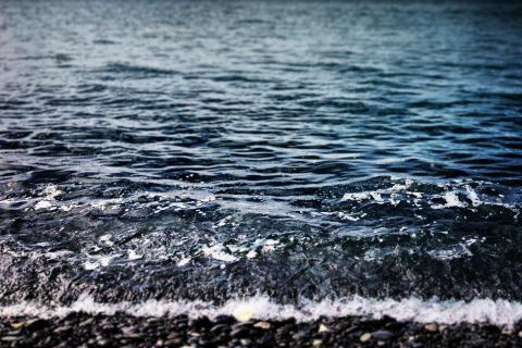 Sea. The Dutch for "sea" is "zee". Sea. The Dutch for "sea" is "zee".