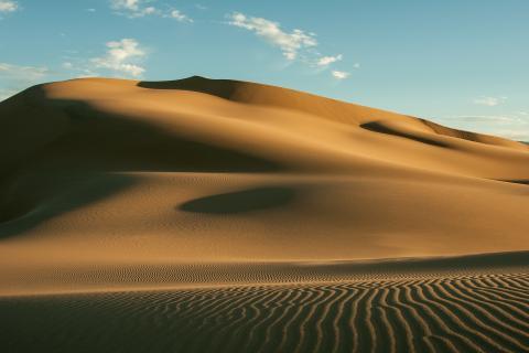 Desert. The Dutch for "desert" is "woestijn". Desert. The Dutch for "desert" is "woestijn".
