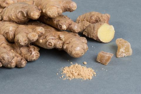 Ginger. The Dutch for "ginger" is "gember".
