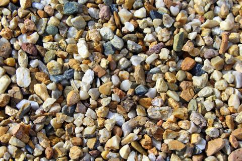 Pebbles. The Dutch for "pebbles" is "kiezels".