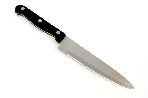 The knife. The Dutch for "the knife" is "het mes".