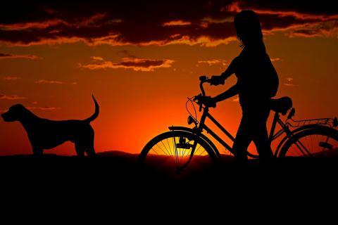 The evening. The Dutch for "the evening" is "de avond".