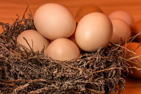 Egg. The Dutch for "egg" is "ei". Egg. The Dutch for "egg" is "ei".
