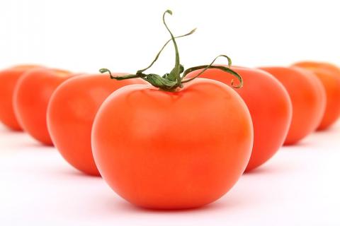 Tomato. The Dutch for "tomato" is "tomaat". Tomato. The Dutch for "tomato" is "tomaat".