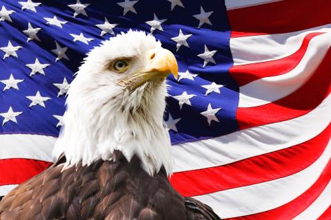 America. The Dutch for "America" is "Amerika". America. The Dutch for "America" is "Amerika".