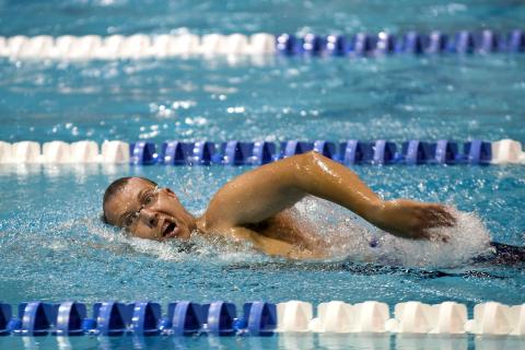 Swam. The Dutch for "swam" is "zwommen". Swam. The Dutch for "swam" is "zwommen".