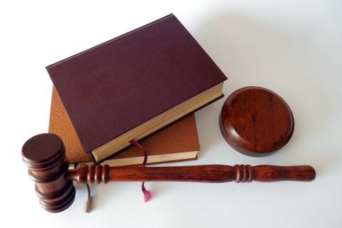 The lawyer. The Dutch for "the lawyer" is "de advocaat".