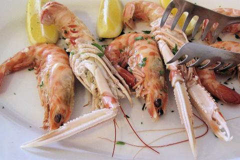 Seafood. The Dutch for "seafood" is "zeevruchten".