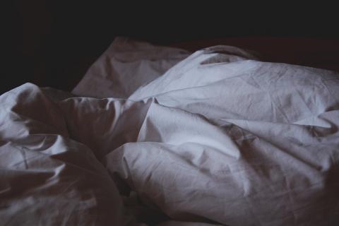 Sheets. The Dutch for "sheets" is "bladen".