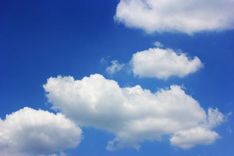 Cloud. The Dutch for "cloud" is "wolk".
