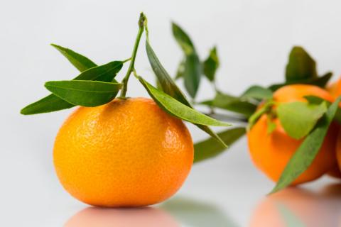 Mandarin. The Dutch for "mandarin" is "mandarijn".