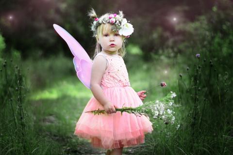 Fairy. The Dutch for "fairy" is "fee".