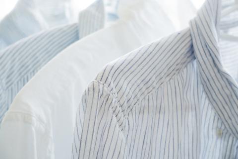 Shirt. The Dutch for "shirt" is "hemd".
