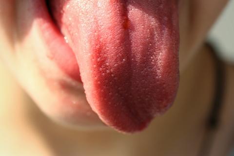 Tongue. The Dutch for "tongue" is "tong". Tongue. The Dutch for "tongue" is "tong".