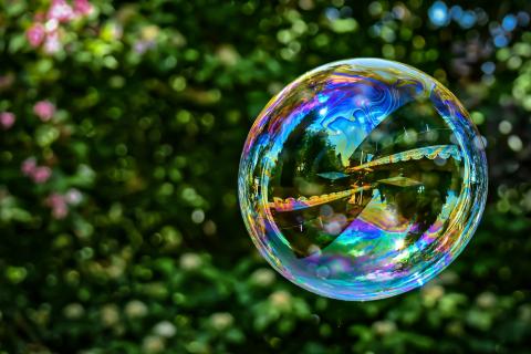 Bubble. The Dutch for "bubble" is "bubbel". Bubble. The Dutch for "bubble" is "bubbel".