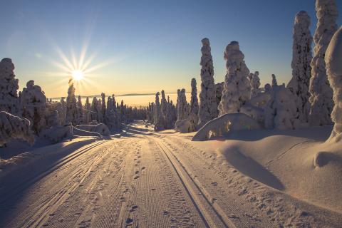 Finland. The Dutch for "Finland" is "Finland". Finland. The Dutch for "Finland" is "Finland".