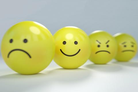 Feeling. The Dutch for "feeling" is "gevoel". Feeling. The Dutch for "feeling" is "gevoel".