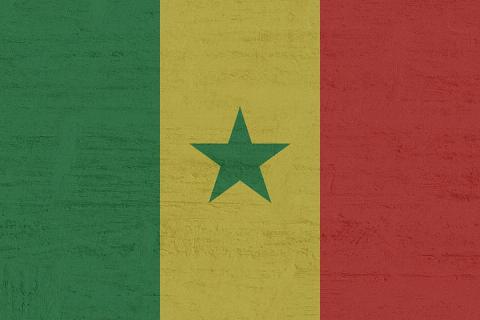 Senegalese. The Dutch for "Senegalese" is "Senegalees". Senegalese. The Dutch for "Senegalese" is "Senegalees".