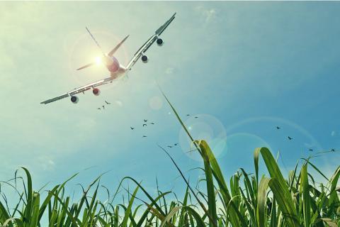 Flight. The Dutch for "flight" is "vlucht".