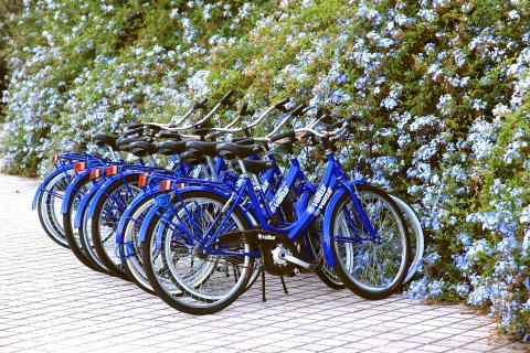 Bicycles. The French for "bicycles" is "vélos". Bicycles. The French for "bicycles" is "vélos".
