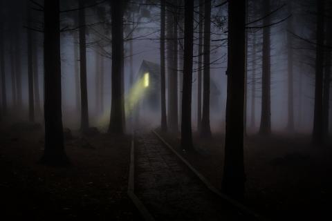 Night. The French for "night" is "nuit". Night. The French for "night" is "nuit".