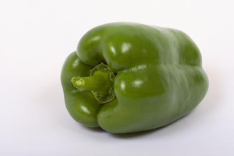 A green pepper. The French for "a green pepper" is "un poivron vert". A green pepper. The French for "a green pepper" is "un poivron vert".
