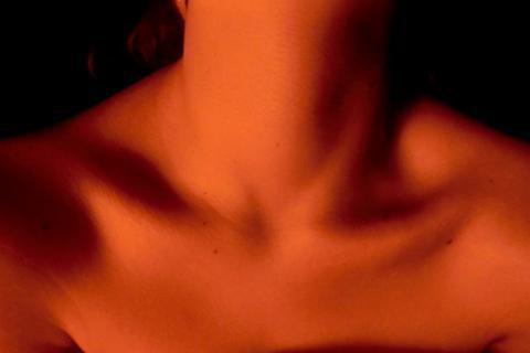 Neck. The French for "neck" is "cou". Neck. The French for "neck" is "cou".