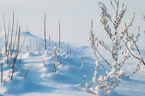 Snow. The French for "snow" is "neige". Snow. The French for "snow" is "neige".