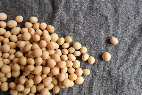 Soya. The French for "soya" is "soja".