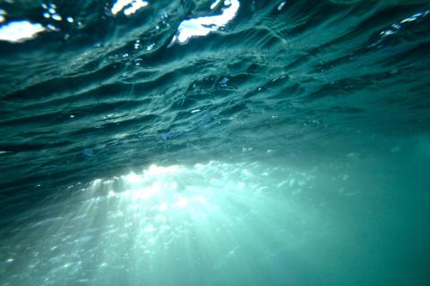 Underwater (feminine). The French for "underwater (feminine)" is "sous-marine".