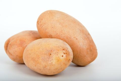 A potato. The French for "a potato" is "une pomme de terre". A potato. The French for "a potato" is "une pomme de terre".